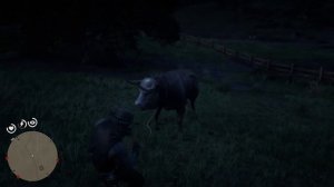 Где найти БЫКА в RDR2 | Превосходная шкура быка