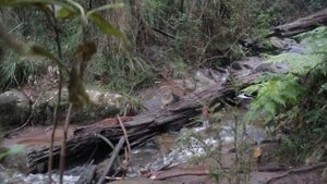 Имя Татьяна: карма, характер и судьба.