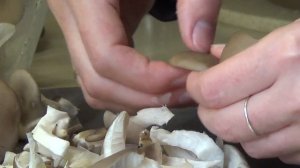 Легко и просто: Жареные вешенки