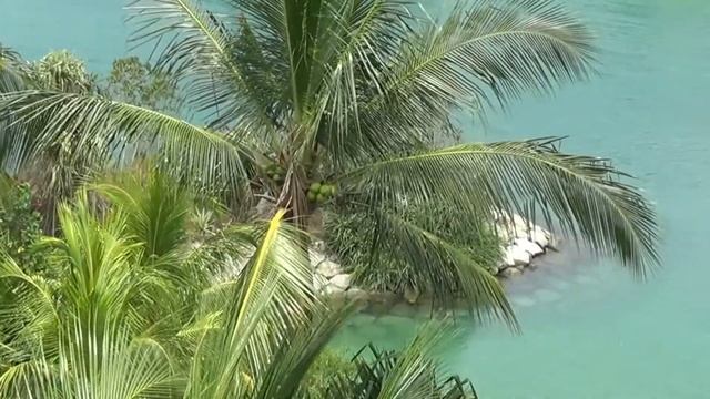 В БАНАНОВО ЛИМОННОМ СИНГАПУРЕ смотреть онлайн