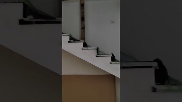 Премиальный ремонт? Что это?