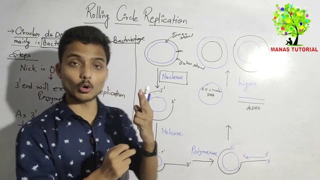 DNA Rolling Circle Replication|Rolling Circle Mechanism of DNA|Plasmid Replication|Manas Mishra смотреть онлайн