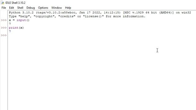 input function python
