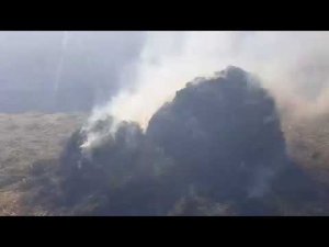 КАК КУПИЛ СЕНО КАК СЖЕГ СЕНО