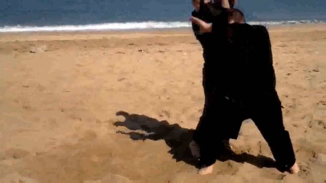 Показательный семинар по Айкидо в Севастополе. Май, 2012 (Aikido seminar in Sevastopol)