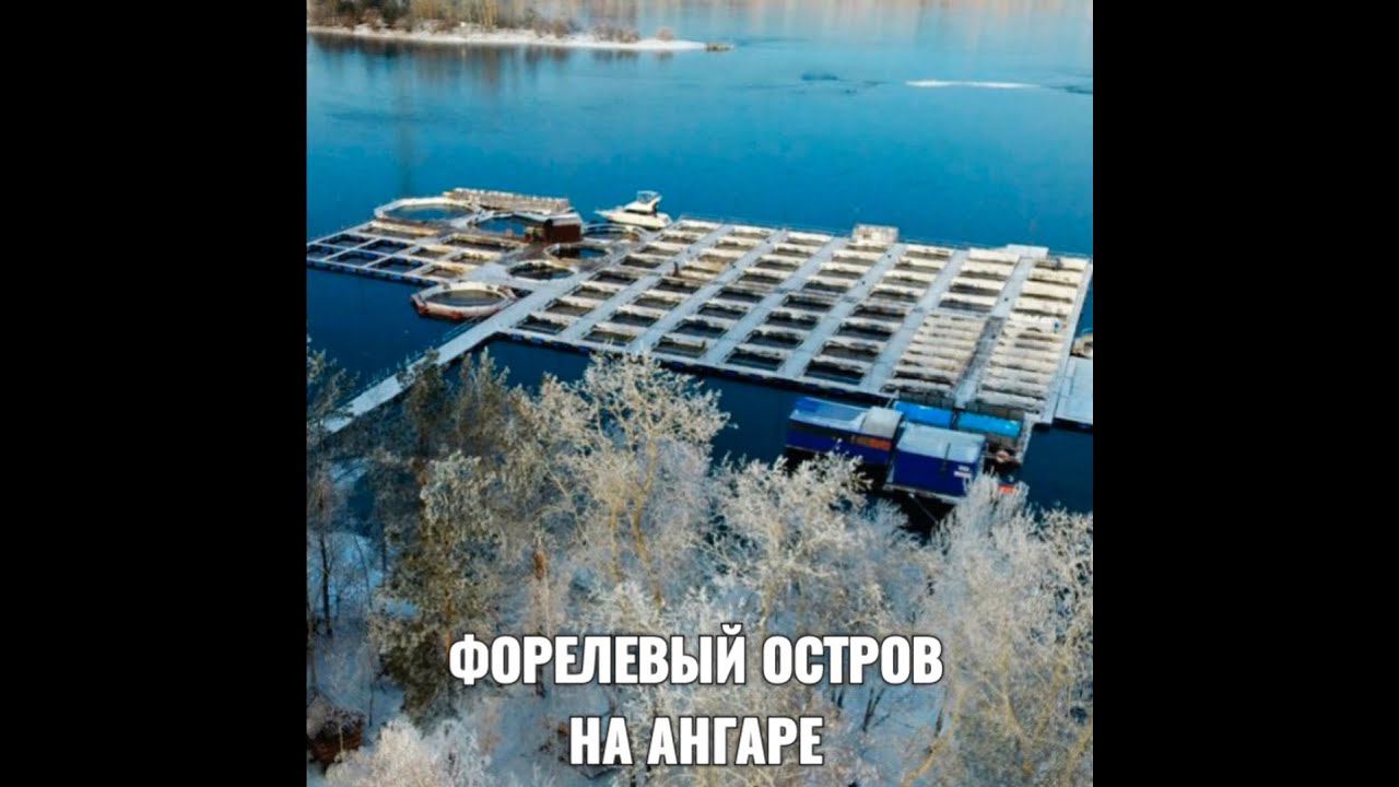 ФОРЕЛЕВЫЙ ОСТРОВ НА АНГАРЕ