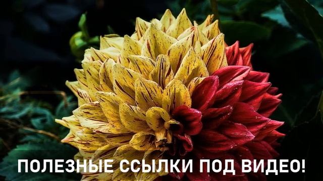 БОЖЕСТВЕННЫЙ ФИЛЬТР-ченнелинг
