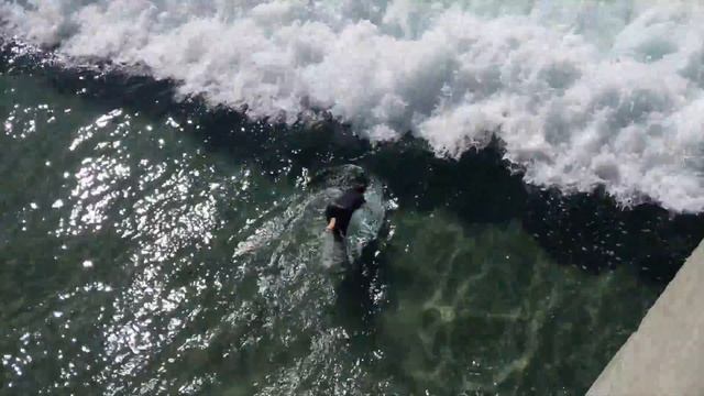 Индивидуальный урок серфинга в Лос Анджелесе ☆ Школа Серфинга Golden Wave Surf School
