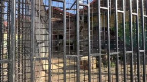 Минский зоопарк полный обзор 2023