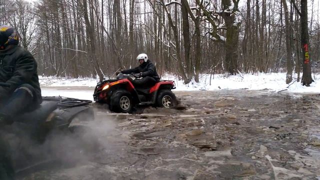 квадрики моржы смотреть онлайн