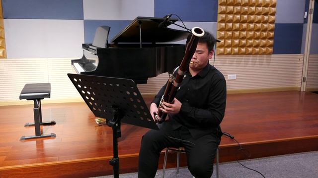 Wenzhe Jiang Assignment of Tilstillet (fagot) смотреть онлайн