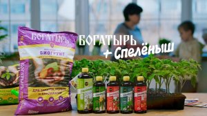 Удобрение Спелёныш и грунт Богатырь – залог крепкой рассады! ? Теперь обязательно будет урожай!