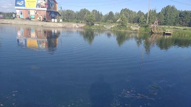 форель азарт рыбалка смотреть онлайн