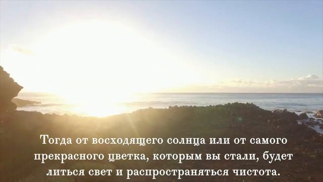 Медитация "Восходящее солнце". Шри Чинмой
