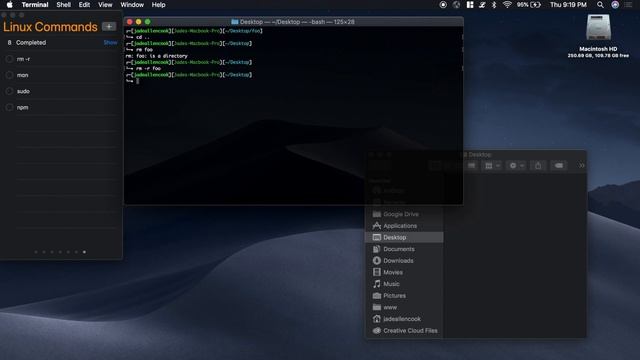 Getting Around The Terminal With Shell Commands | Learn Web Development Now