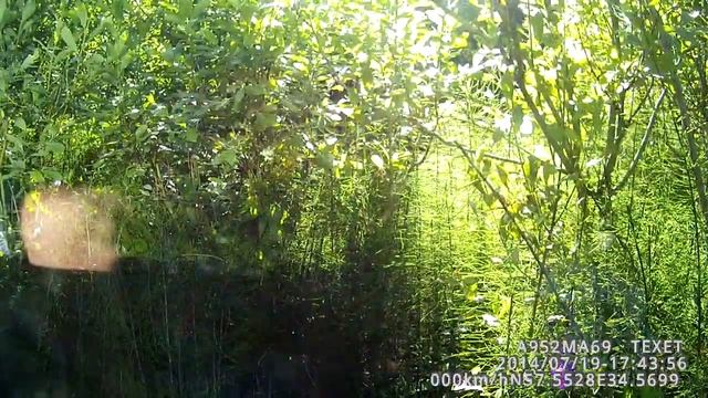 очередной прокол колеса смотреть онлайн