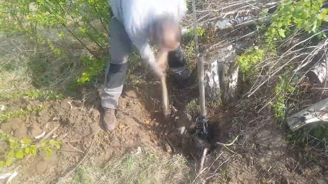 Выкорчевка пня ручным способом.