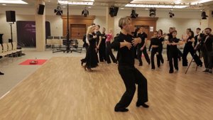 Mirko Gozzoli Teaches Viennese Waltz and Its Technical Actions