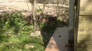 Улей Глазова.