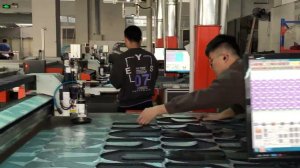 Раскройный комплекс Emma S1 4716 P