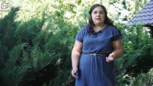 Что Посадить в Тени ? Самые Тенелюбивые Растения ?