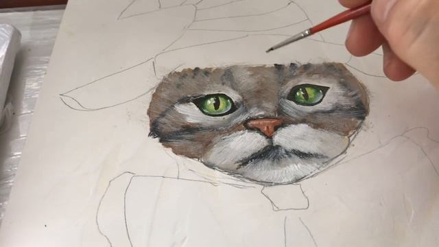 Как написать Смешного Кота смотреть онлайн