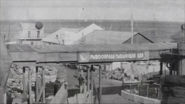 История салехардского комбината