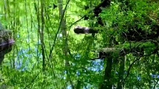 "Не говори мне о другой, я и без слов всё понимаю..." Вероника Пятченко
