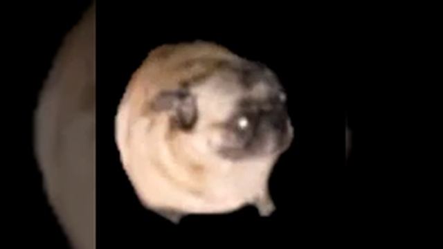 Сергій Брайлян — Сало