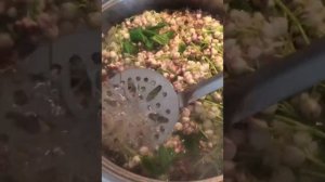 ДЖОНДЖОЛИ (клекачка)съедобные цветы,деликатес,соленая закуска