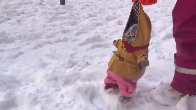 БАСИК гуляет на ДЕТСКОЙ площадке зимой/БАСИК на прогулке смотреть онлайн