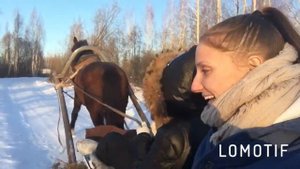 НАСТОЯЩАЯ ЗИМА САНИ ЛОШАДИ СНЕГ БЕЛАРУСЬ КАТАНИЕ В САНЯХ