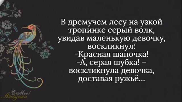 Смешные анекдоты. Как устроены женские половые органы? смотреть онлайн