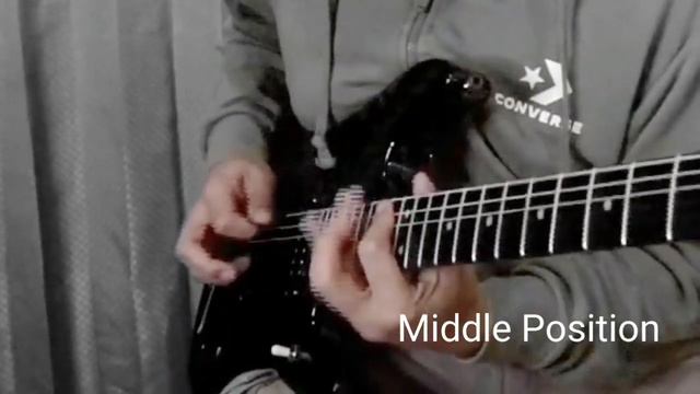 Washburn N4 BLACK SWAMP Ash смотреть онлайн