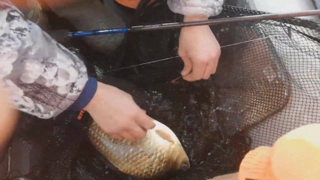 Рыбалка Кострома 26.03.2019 смотреть онлайн