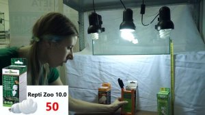 Какую уф лампу выбрать для рептилий? ч.1 - Компакты