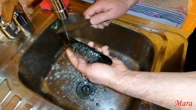 Кормим кошек. смотреть онлайн