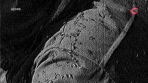 "Я нашел нефть тчк"/"Окружная телерадиокомпания Югра"