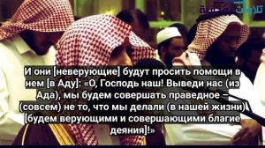 Сура Фатыр (Творец), аят 36-38.Мухаммад Люхайдан