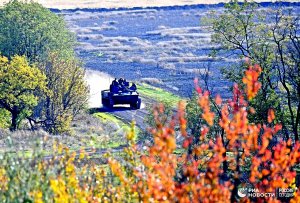 Рогов длина линии фронта в Запорожской области составляет свыше 150 км
