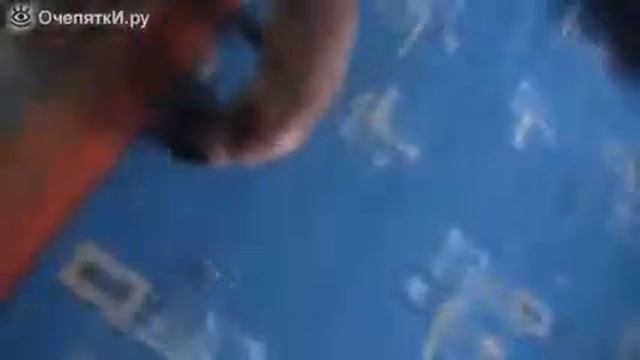 кіт попав у акваріум смотреть онлайн