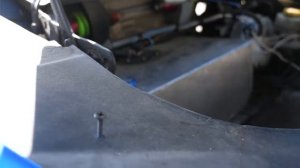 САМОДЕЛЬНАЯ ЛАМБА В РОССИИ