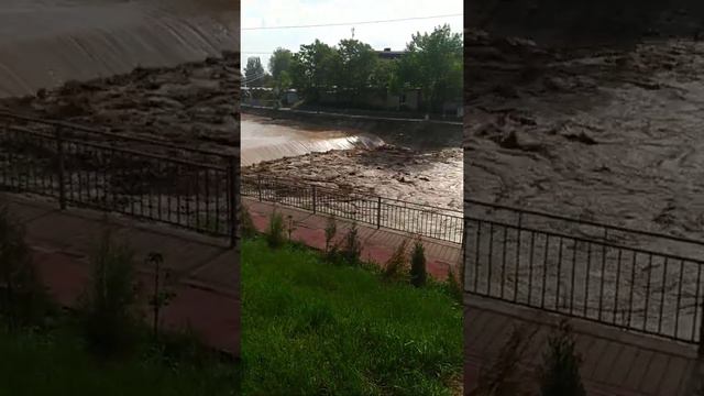 Очень грязная вода