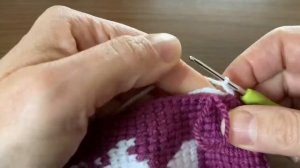 15. Тапочки тунисским крючком. Обвязка. Первый ряд.