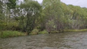 На водомёте, из Байкала вверх по реке Голоустная.
