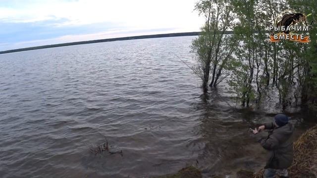 Рыбалка на Реке. Бешенный клёв. Мега Лещи.Рыбалка2020г