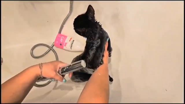 Ненужное наследство.