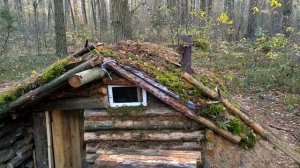 После этого Землянка стала Уютнее в 10 раз. Землянка в лесу .В округе бродят Волки !