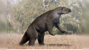 Мегатерий - древний наземный ленивец