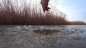 Рыбалка на льду Краснодарский край. Ловля плотвы. Попытка поймать щуку на жерлицы. 9 декабря